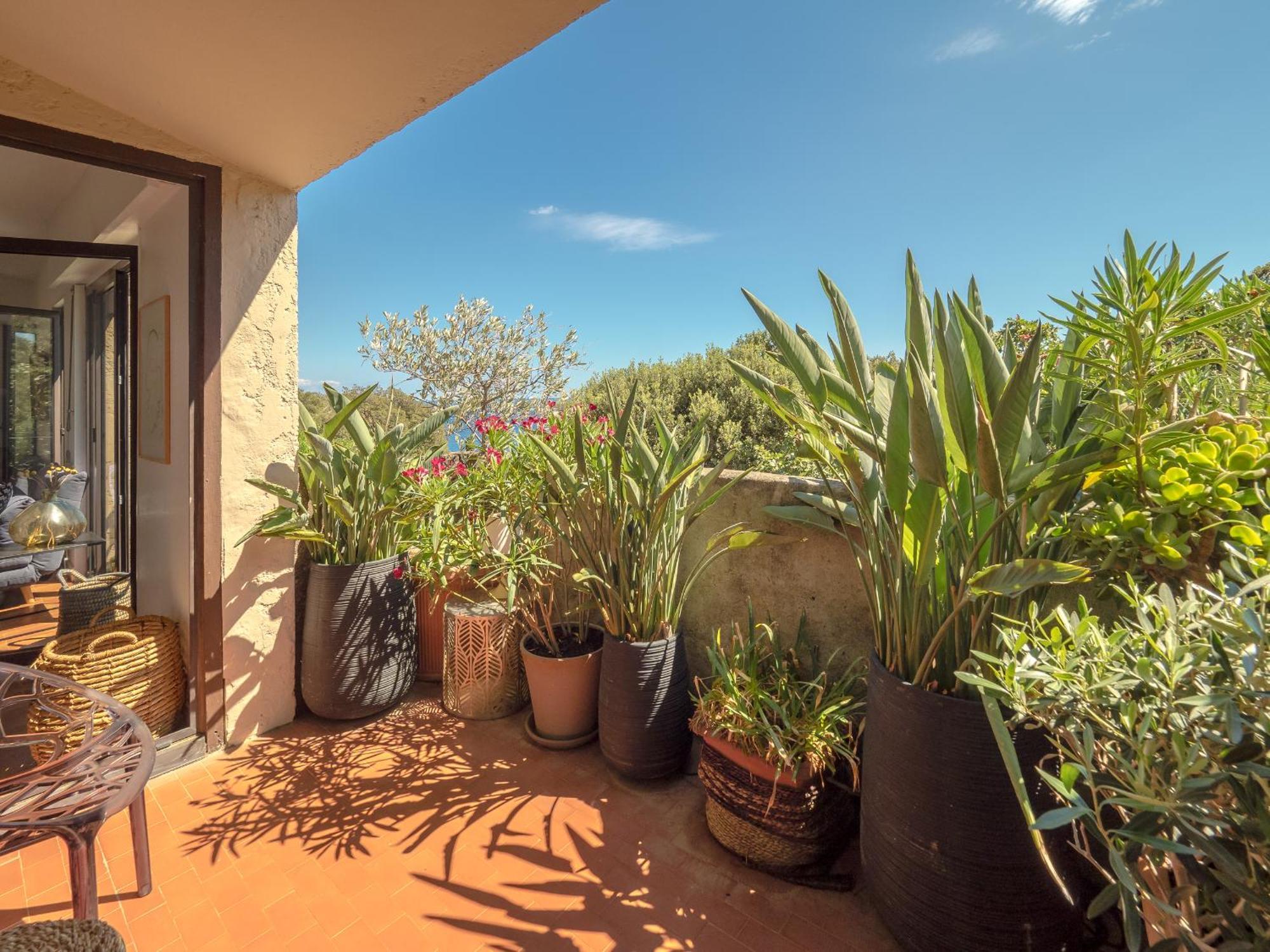 Residence Les Sources Brando Luaran gambar